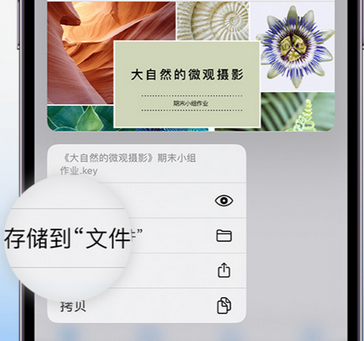 阿坝apple维修中心分享iPhone文件应用中存储和找到下载文件