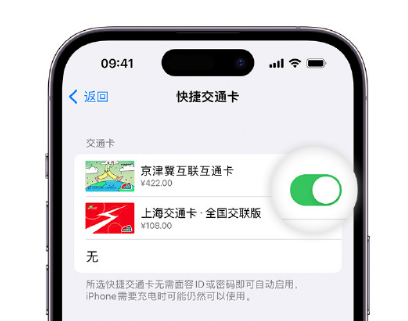 阿坝apple维修点分享iPhone上更换Apple Pay快捷交通卡手绘卡面 