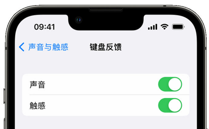 阿坝苹果手机维修分享iPhone 14触感键盘使用方法 