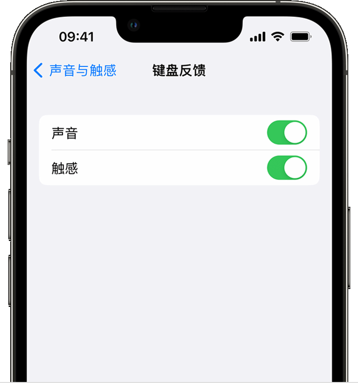 阿坝苹果14维修店分享如何在 iPhone 14 机型中使用触感键盘 