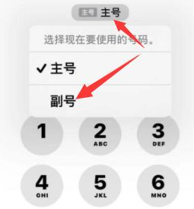 阿坝苹果14维修店分享iPhone 14 Pro Max使用副卡打电话的方法 