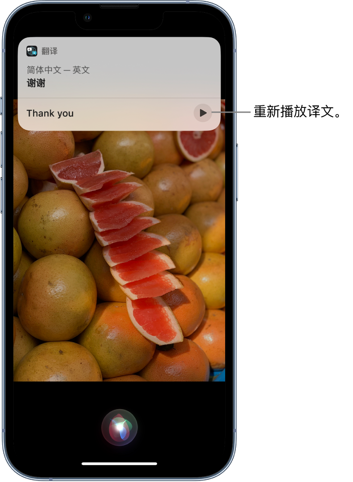 阿坝苹果14维修分享 iPhone 14 机型中使用 Siri：了解 Siri 能帮你做什么 