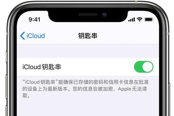 阿坝苹果手机维修分享在 iPhone 上开启 iCloud 钥匙串之后会储存哪些信息 