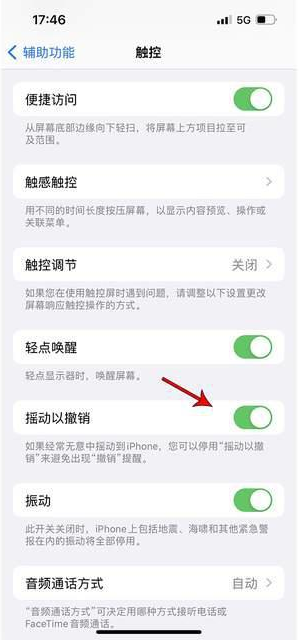 阿坝苹果手机维修分享iPhone手机如何设置摇一摇删除文字 